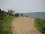 safrica/IMG_0531 (WinCE).JPG